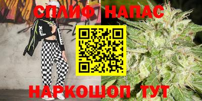 индика Заводоуковск