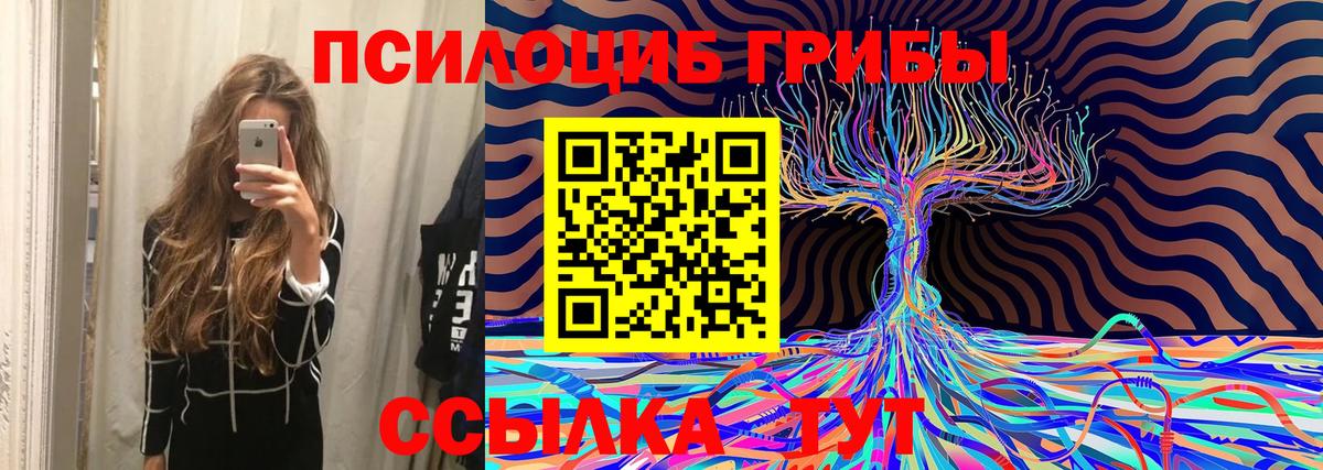 Галлюциногенные грибы Cubensis  Галлюциногенные грибы мицелий  как найти закладки  Вход с VPN  Котовск 